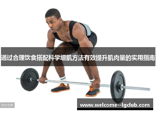通过合理饮食搭配科学增肌方法有效提升肌肉量的实用指南