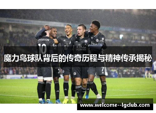 魔力鸟球队背后的传奇历程与精神传承揭秘