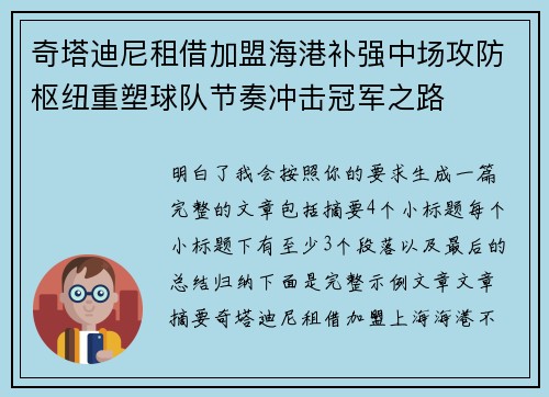 奇塔迪尼租借加盟海港补强中场攻防枢纽重塑球队节奏冲击冠军之路